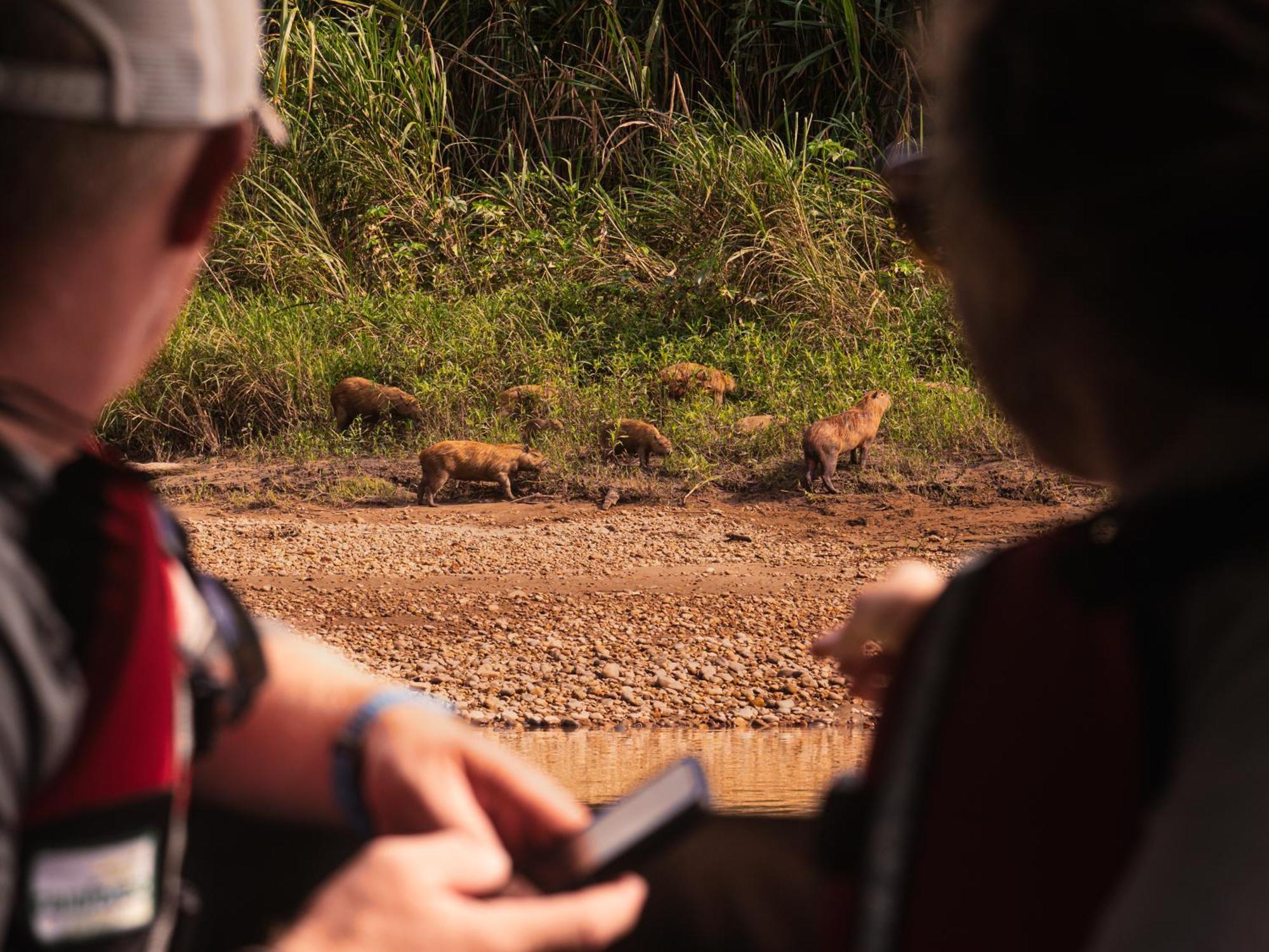 Refugio Amazonas Lodge Tambopata Bagian luar foto
